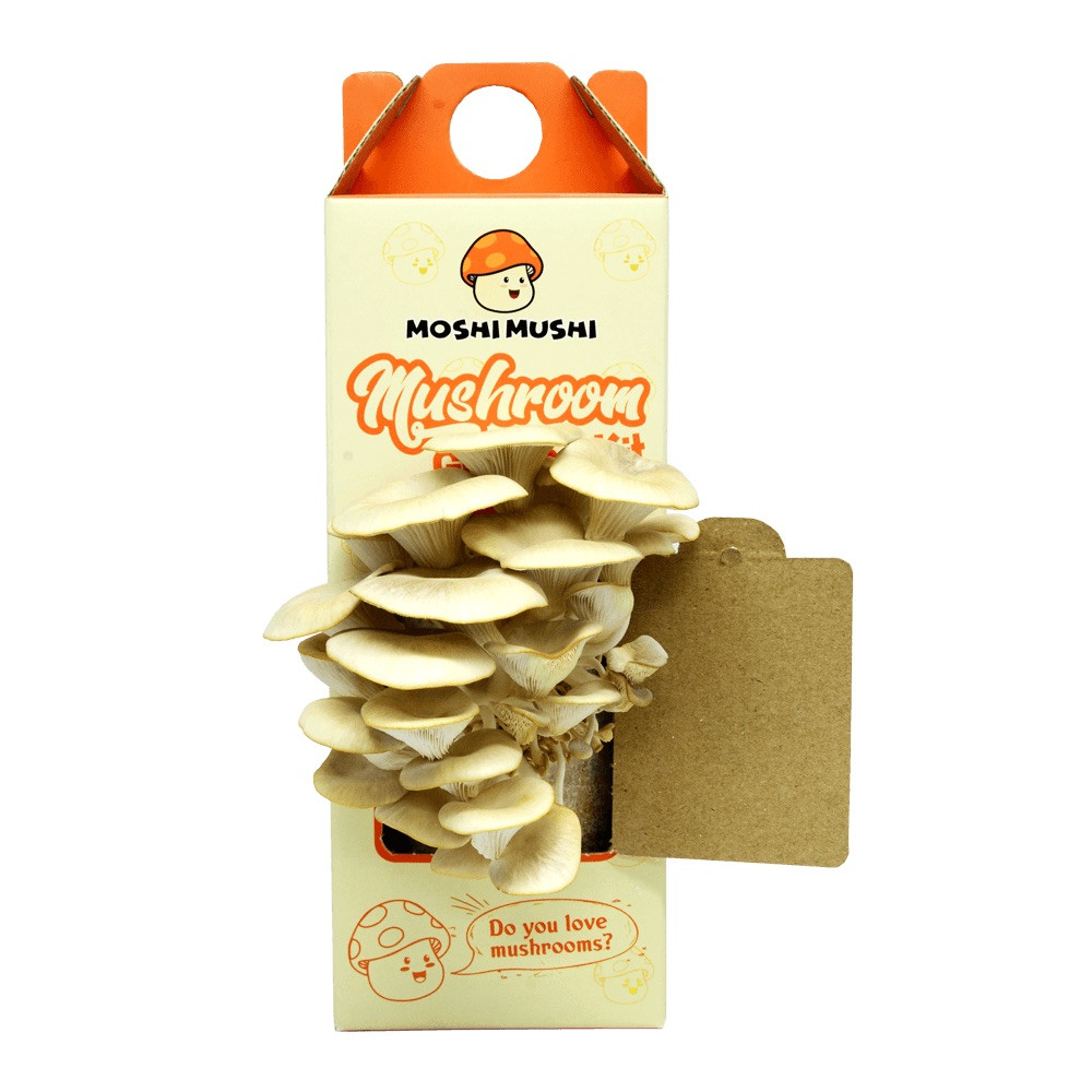 Moshi Mushi Mushroom Growing Kit
