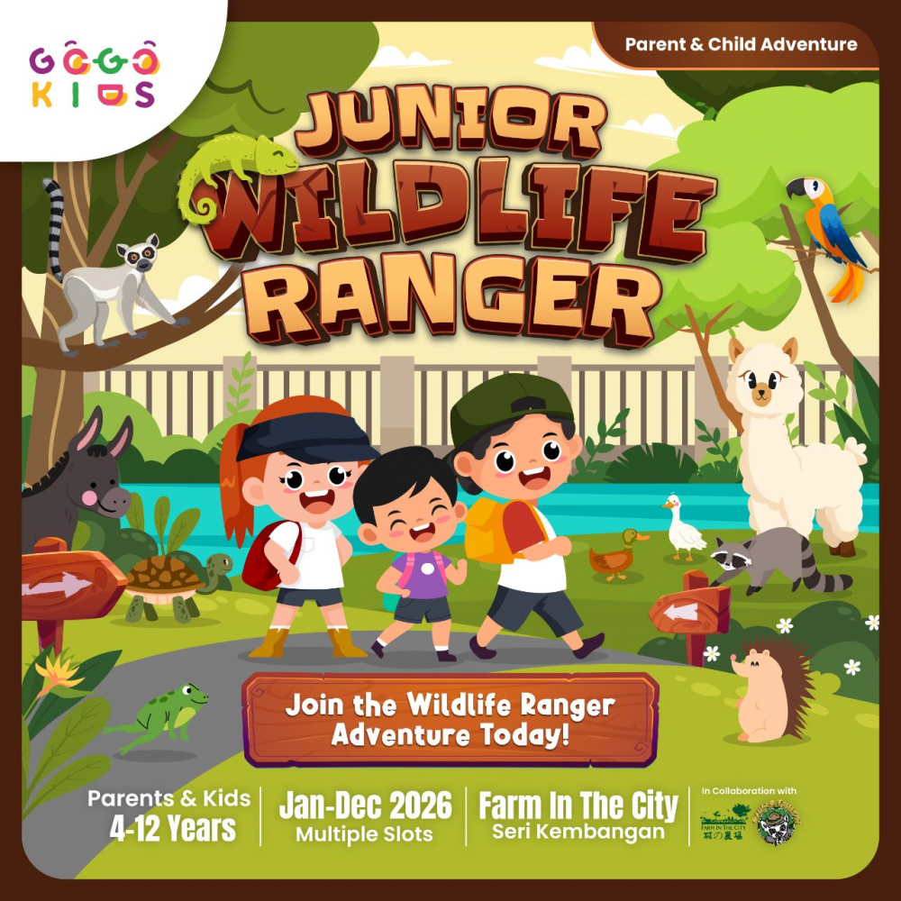 experience-cover-image