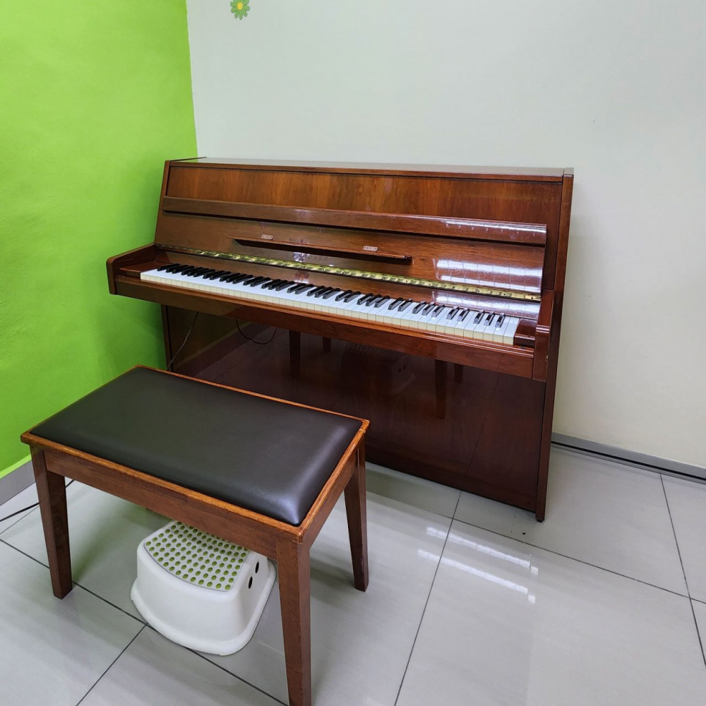 Introduction to Musicianship (5 years old)