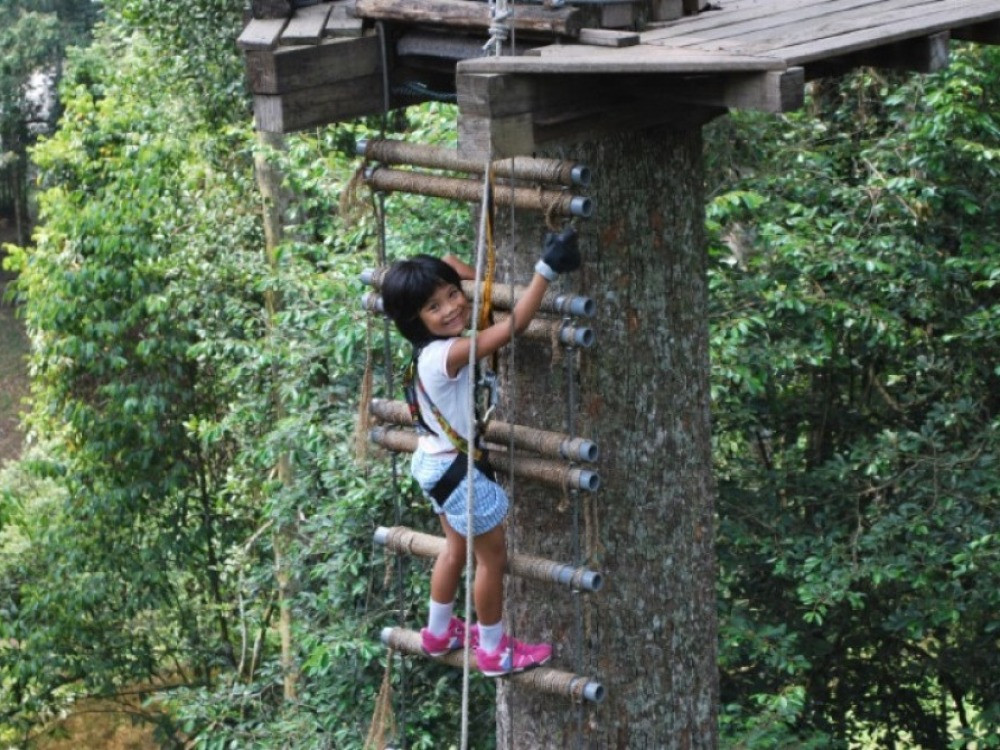 Gogokids Skytrex Adventure Melaka