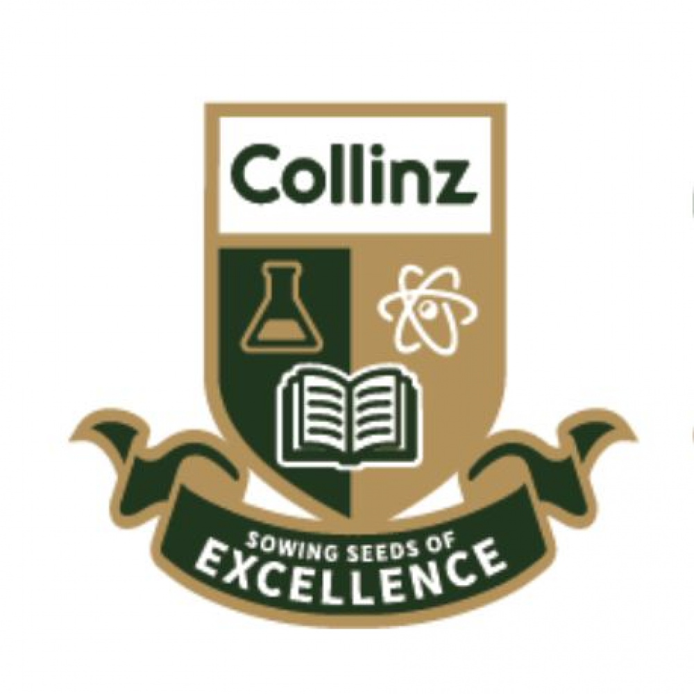 Collinz International School