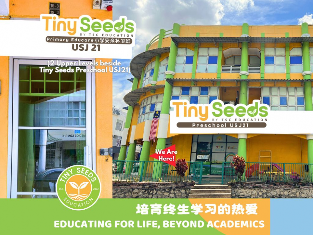 Tiny Seeds Primary Educare (USJ 1)
